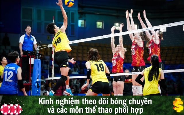 Kinh nghiệm theo dõi bóng chuyền và các môn thể thao phối hợp