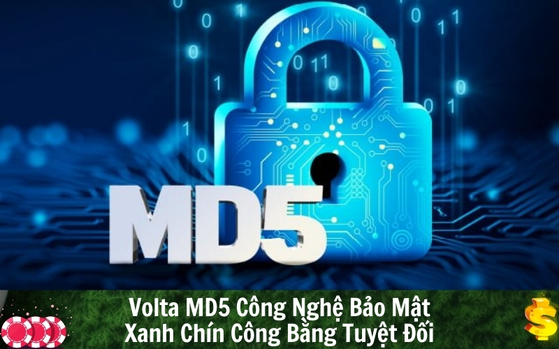 Volta MD5 Công Nghệ Bảo Mật Xanh Chín Công Bằng Tuyệt Đối