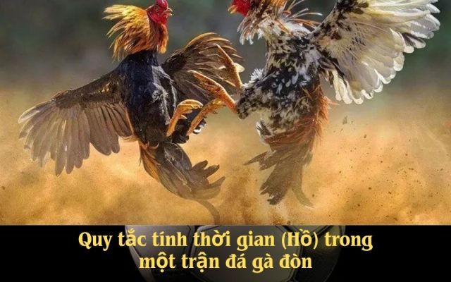 Quy tắc tính thời gian (Hồ) trong một trận đá gà đòn