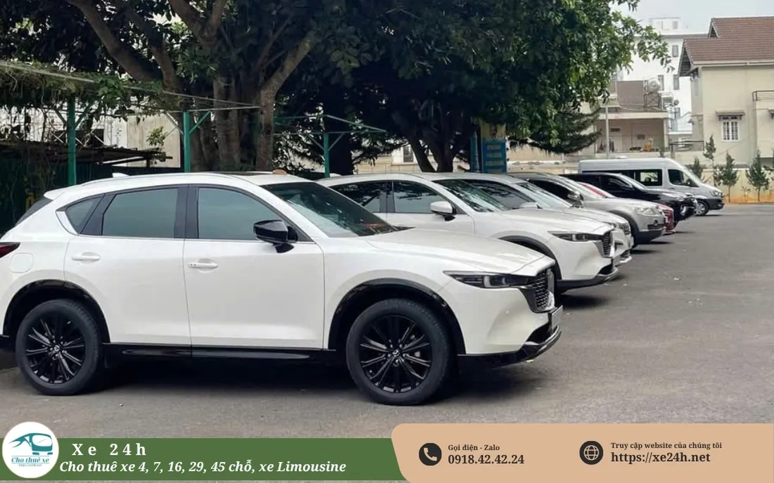 Thuê xe đi Vũng Tàu 1 chiều giá tốt và kinh nghiệm đặt xe